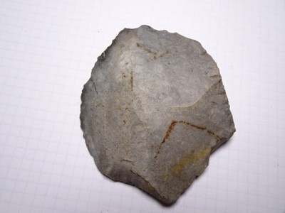 Ciosak neolit   (24)