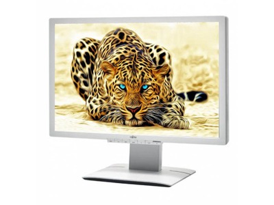 MONITOR FUJITSU P24W-6 24" LCD FULLHD IPS