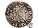 Zygmunt II August trojak gdański 1557 st. 3