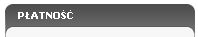 /allegro/platnosc.gif