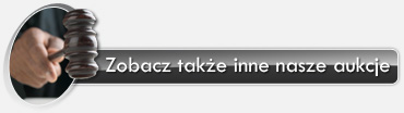 Zobacz inne nasze aukcje