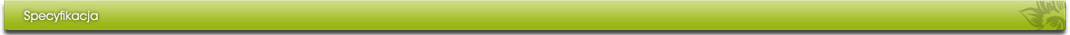 specyfikacja
