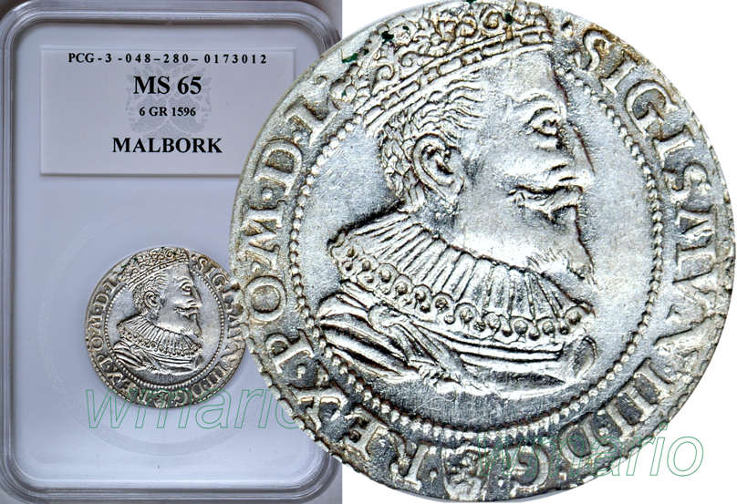 Z. Waza, szóstak Malbork 1596, rzadki R6 SEv, MS65