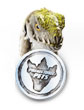 Prehistoric Pets