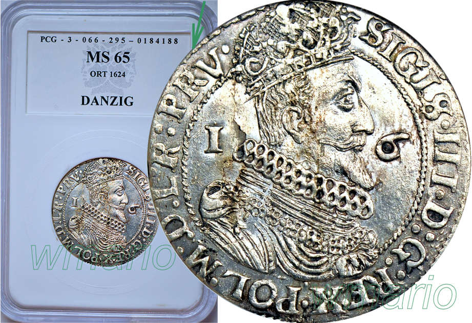 Zygmunt III Waza, ort Gdańsk 1624 rzadki RV, MS65