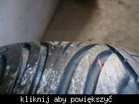 15_1297260817.jpg