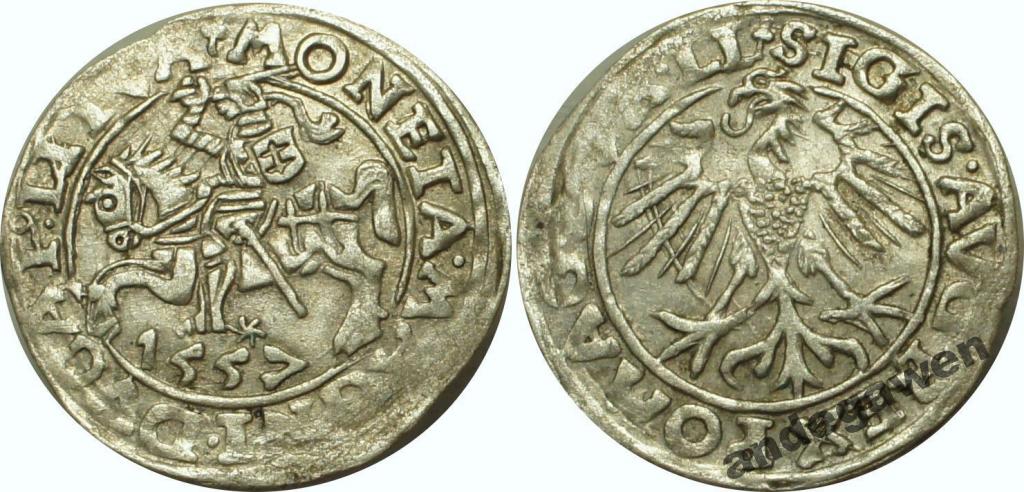 Zygmunt II August, półgrosz, 1557 - 4SA74-21 R