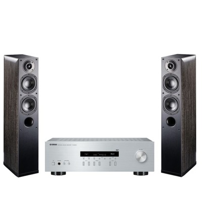 Zestaw stereo Yamaha R-S202D Indiana Line NOTA 550