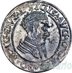 Zygmunt II  August, czworak 1568, wyjątkowo piękny