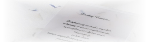 www.papier.czerpany.pl