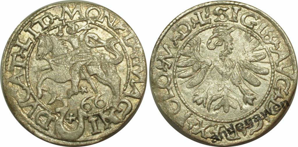 Zygmunt II August, półgrosz 1566 - RR - wyśmienity