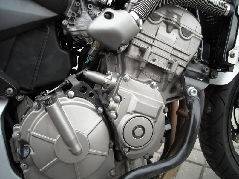 Click to visit ImageShack for Image Hosting! img501/3988/dscn0020zo3.jpg