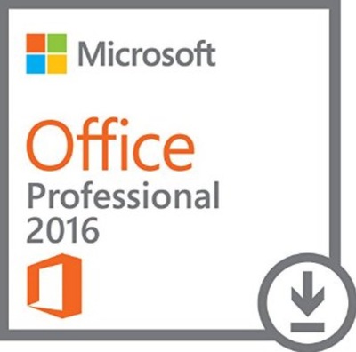 Microsoft Office Professional 2016.