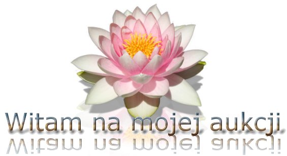 Nie mozna wyswietlic obrazka