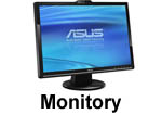 Monitory