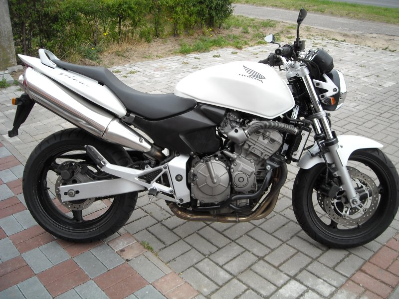 Click to visit ImageShack for Image Hosting! img501/4342/dscn0024vd9.jpg