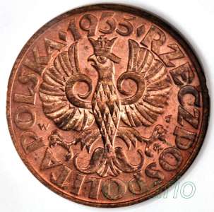 darmowe zdjęcia na aukcje Allegro