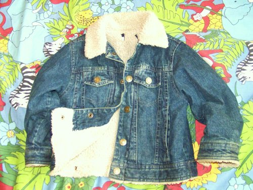  100_2499.JPG Fotki Zdjęcia Obrazki