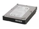 HDD SEAGATE 250GB ST3250318AS SATA II 8MB 3 LATA