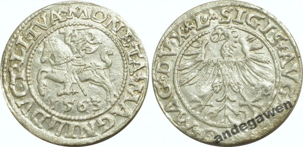 Zygmunt II August, półgrosz 1563 4SA144-39 RR DVCT