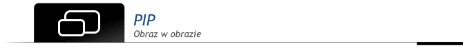 /naglowki_opisy/pip_1.gif /naglowki_opisy/pip_1.gif