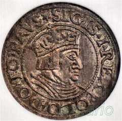 Z. Stary, grosz Gdańsk 1535, menniczy, NGC MS62