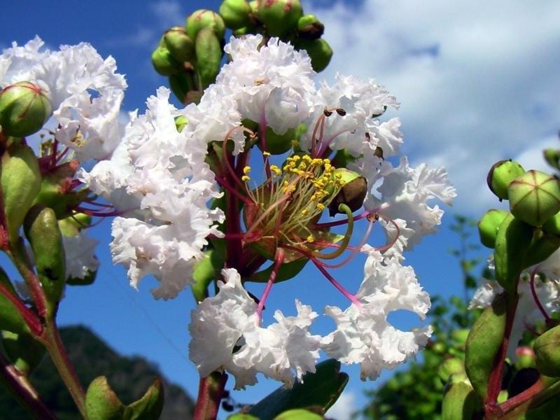 18118927KcHRsnJTUC_ph.jpg Fotosik.pl  18118927KcHRsnJTUC_ph.jpg Fotosik.pl