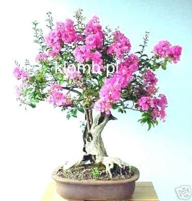 07_1_b.jpg Fotosik.pl  07_1_b.jpg Fotosik.pl