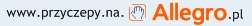 http://przyczepy.na.allegro.pl/