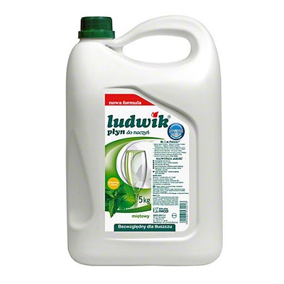 LUDWIK PŁYN DO NACZYŃ 5L LITRÓW MIĘTOWY!