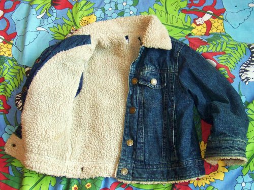  100_2500.JPG Fotki Zdjęcia Obrazki