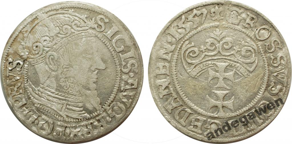 Zygmunt II August, grosz, 1557, Gdańsk - R3