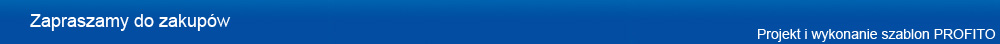 Projekt i wykonanie Profito