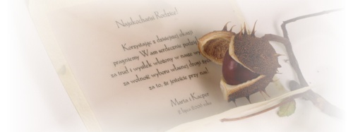 www.papier.czerpany.pl